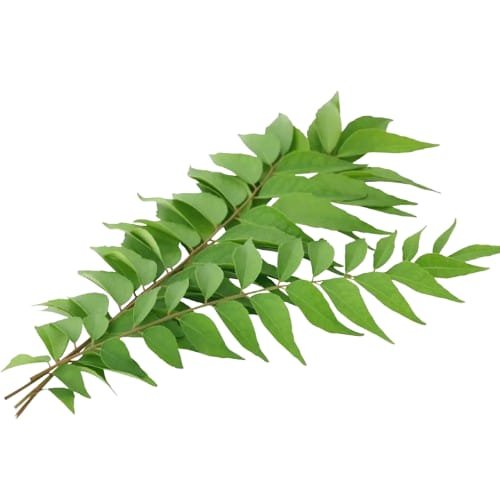 Curry Leaves